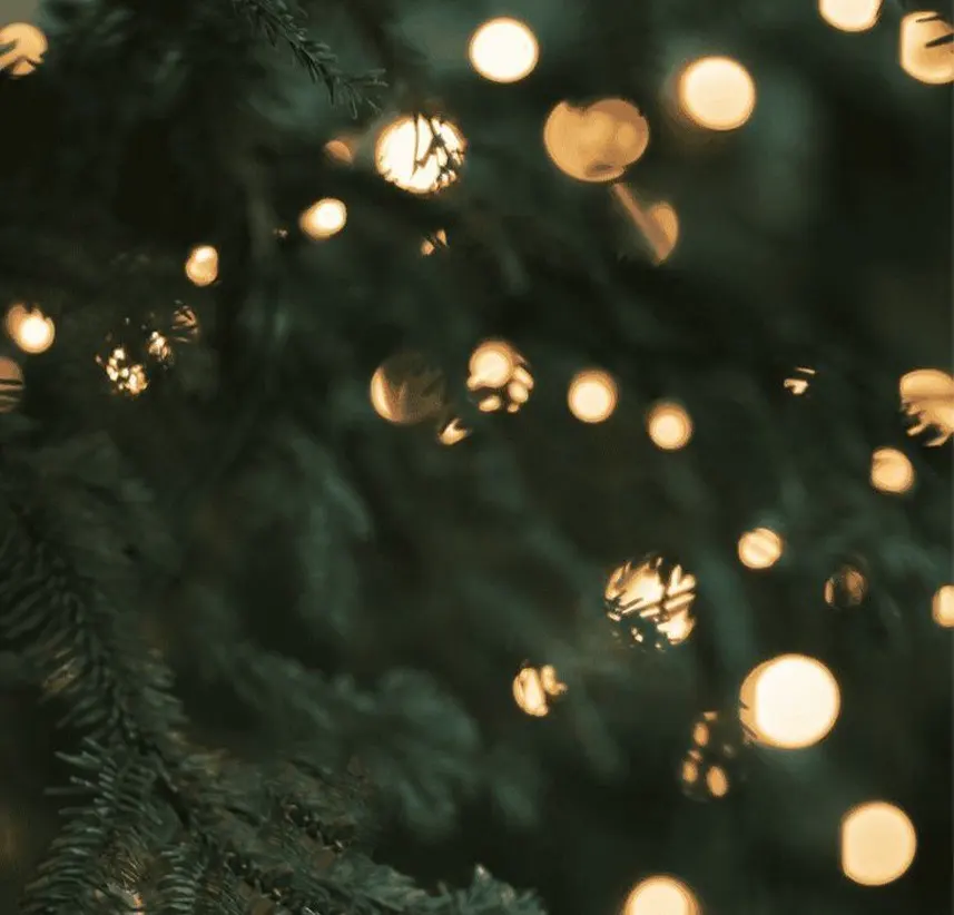 Lights